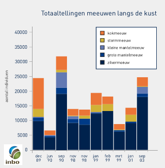 Totaaltellingen meeuwen langs de kust