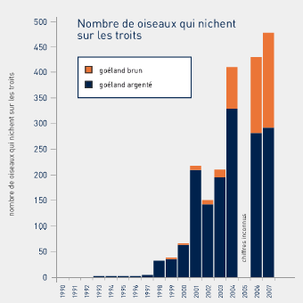 Nombre de oiseaux qui nichent sur les toits