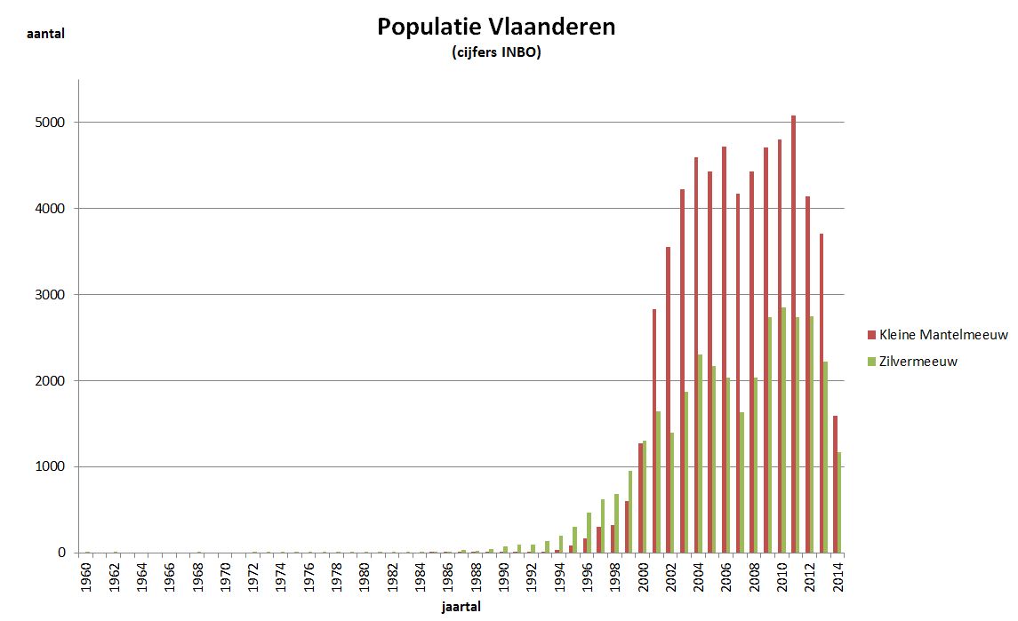 Grafiek broedpopulatie Vlaanderen